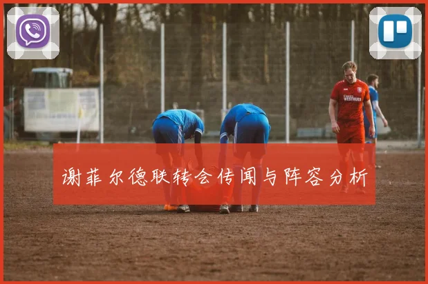 谢菲尔德联转会传闻与阵容分析