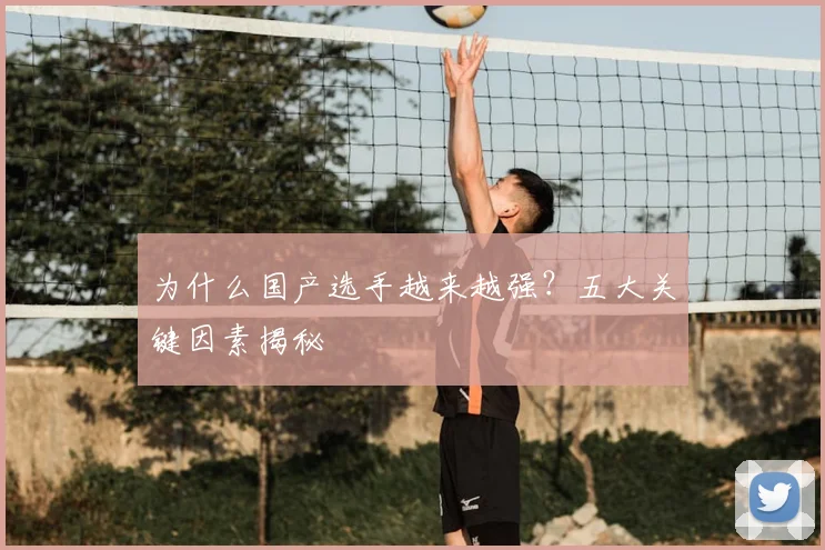 为什么国产选手越来越强？五大关键因素揭秘